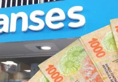 Anses cambia los montos de mayo: cuánto cobran las Pensiones No Contributivas
