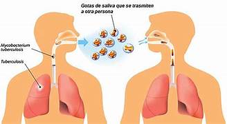 Un brote de hantavirus en un crucero revive temores de contagio interpersonal y reactiva el recuerdo del Covid-19