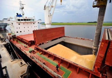 El calor en EE.UU. y las compras de China frenan la caída de los granos a la espera del informe del USDA