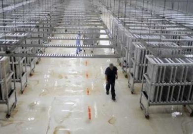 Bioplanta Santa Rosa: 10 años implementando normas internacionales de calidad