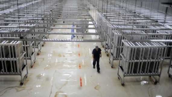 Bioplanta Santa Rosa: 10 años implementando normas internacionales de calidad