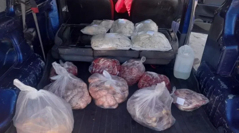 Secuestraron más de 50 kilos de carne ilegal en San Martín y detectaron una faena clandestina en San Rafael