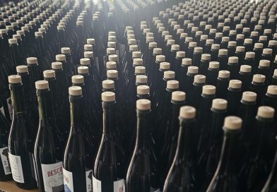 El vermut mendocino vive un gran momento y ya conquista mercados internacionales