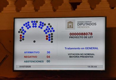 Sanción final a la Declaración de Impacto Ambiental de Don Luis y Otro