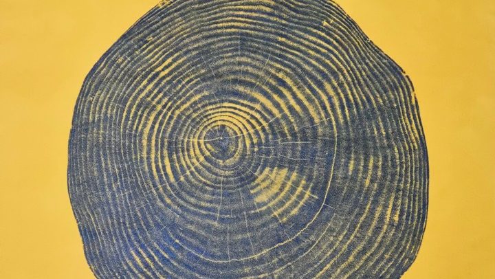 Inaugura la muestra de grabado «Mini Print» en el Museo Carlos Alonso