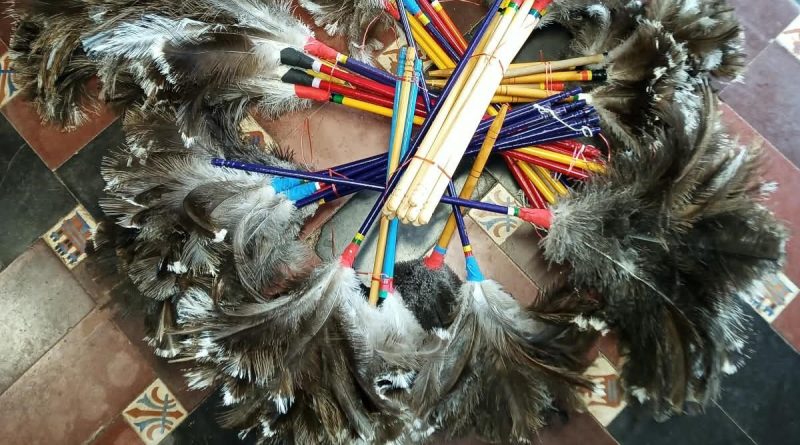 Golpe al tráfico de fauna silvestre: secuestran más de 50 plumeros con plumas de choique y ñandú en Maipú Golpe al tráfico de fauna silvestre: secuestran más de 50 plumeros con plumas de choique y ñandú en Maipú
