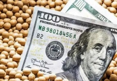 Maíz, soja y trigo: cinco claves que pueden mover al mercado de granos esta semana