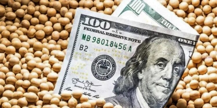 Maíz, soja y trigo: cinco claves que pueden mover al mercado de granos esta semana