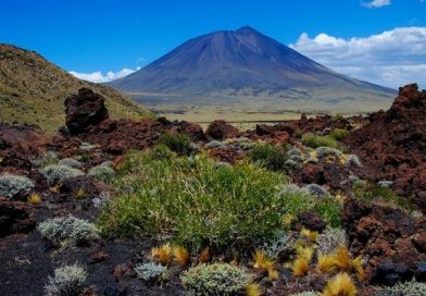 Áreas Naturales Protegidas: se publicó las tarifas de la temporada con nuevos beneficios para mendocinos y empresas prestadoras