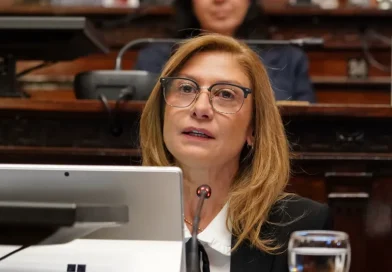 Avanzó en Diputados el proyecto de una «petrista» que propuso habilitar la licencia de conducir a partir de los 17 años Avanzó en Diputados el proyecto de una «petrista» que propuso habilitar la licencia de conducir a partir de los 17 años