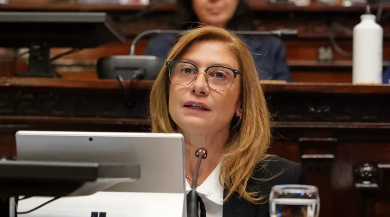 Avanzó en Diputados el proyecto de una «petrista» que propuso habilitar la licencia de conducir a partir de los 17 años Avanzó en Diputados el proyecto de una «petrista» que propuso habilitar la licencia de conducir a partir de los 17 años