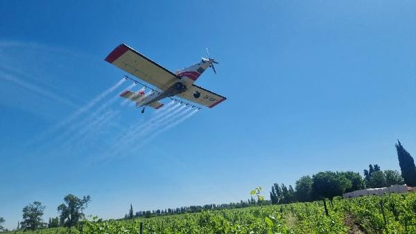 Operativo Lobesia: el Iscamen iniciará el Servicio de tratamientos aéreos en 90.000 hectáreas de vid de los oasis Norte y Este